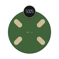 HAYLOU Smart Body Fat Scale CM01